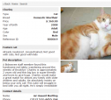 Pet Listing Script, Classified Ads
