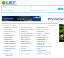 PHP Yellow Pages Script , Classified Ads